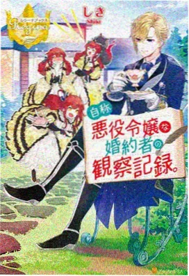 星屑婚礼进行曲动画海报